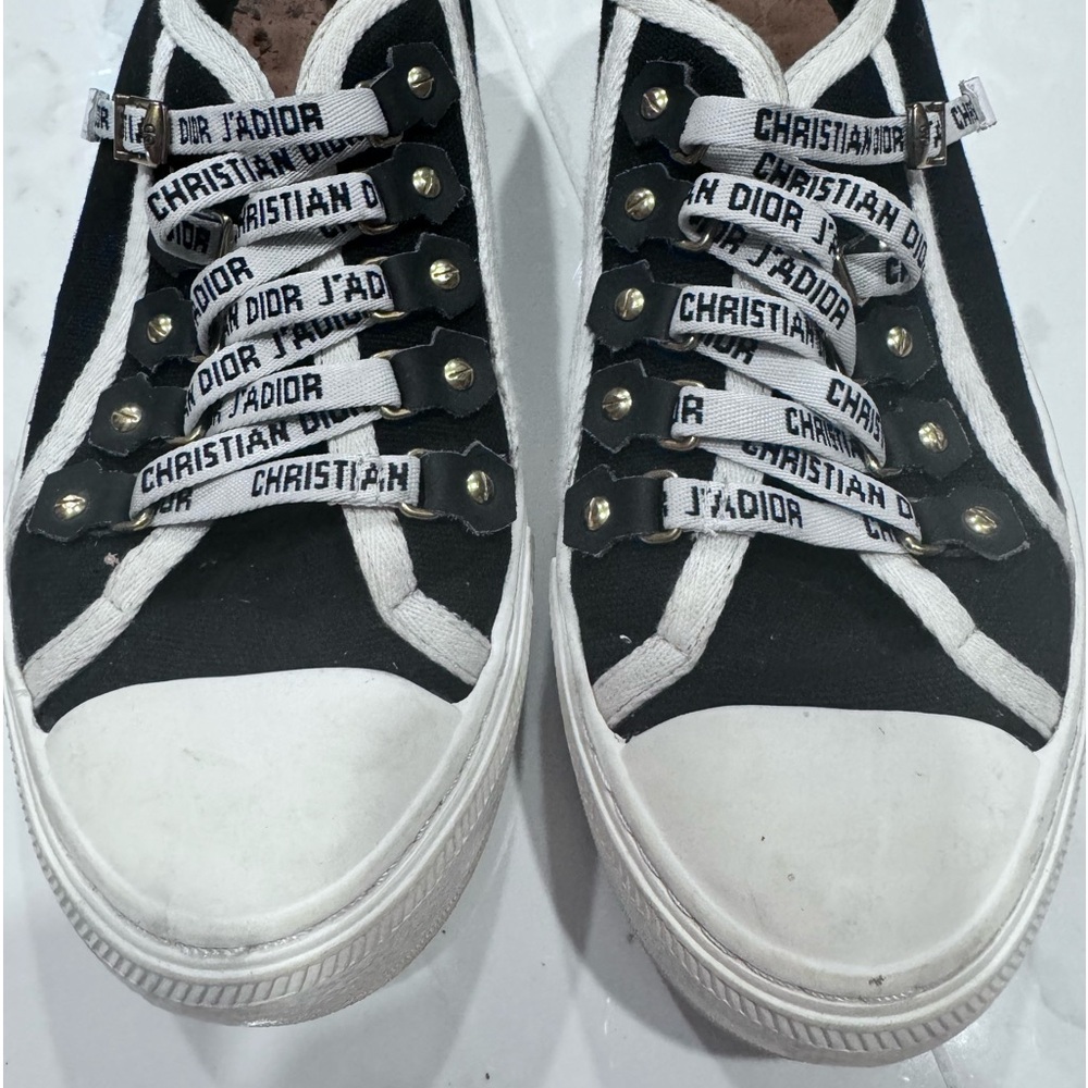 The Walk'n'Dior sneaker -